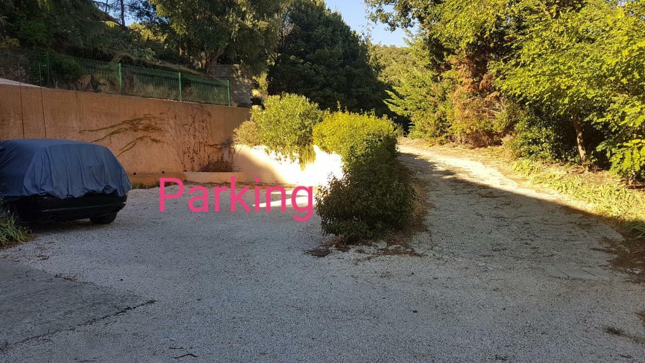 Darshan Zen Collobrieres